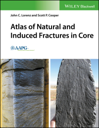 Original PDF Ebook - Atlas of Natural and Induced Fractures in Core1st Edition - 9781119160007