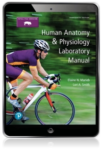 Original PDF Ebook - Human Anatomy & Physiology Laboratory Manual, Fetal Pig Version (Pearson+)13th Edition - 9780134806365