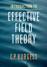 Original PDF Ebook - Introduction to Effective Field TheoryThinking Effectively about Hierarchies of Scale - 9780521195478