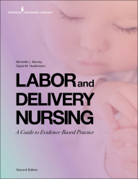 Original PDF Ebook - Labor and Delivery Nursing, Second Edition2nd EditionA Guide to Evidence-Based Practice - 9780826184757