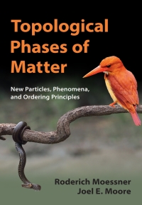 Original PDF Ebook - Topological Phases of Matter - 9781107105539