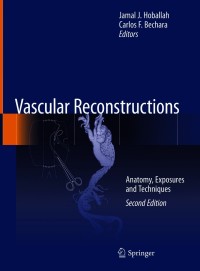 Original PDF Ebook - Vascular Reconstructions2nd EditionAnatomy, Exposures and Techniques - 9781071610879